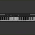 Electronic Keyboard Musical Instrument With Black Finish And Standard Key Layout