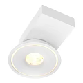 Black Modern Downlight Spotlight With Sleek Design For Home Ceiling Lighting