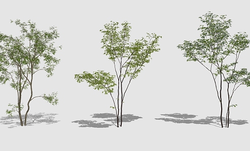 Modern Trees 3d model