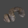 Unique Ancient Spiral Seashell Fossil With Detailed Texture On Dark Background