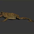 Frog Poison Frog Game Frog Reptile Cold Blooded Animal Reptile 3d model
