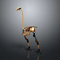 Ostrich Skeleton Model With Metallic Structure Long Neck And Slender Legs On Gray Background