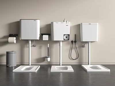 Modern Wall Mounted Toilet with Water Tank Toilet Paper Holder Trash Can Handheld Bidet Spray 3d model
