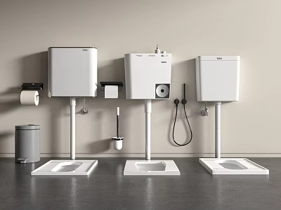 Modern Wall Mounted Toilet with Water Tank Toilet Paper Holder Trash Can Handheld Bidet Spray 3d model