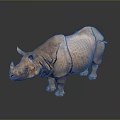 Brown Rhinoceros With Textured Skin Standing On Dark Background With Reflection