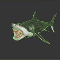 Modern Shark Great White Shark 3d model