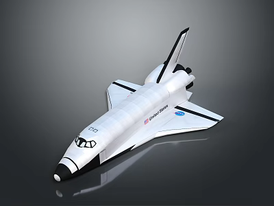 NASA Space Shuttle Orbiter With American Flag White Black Aerospace Design 3d model