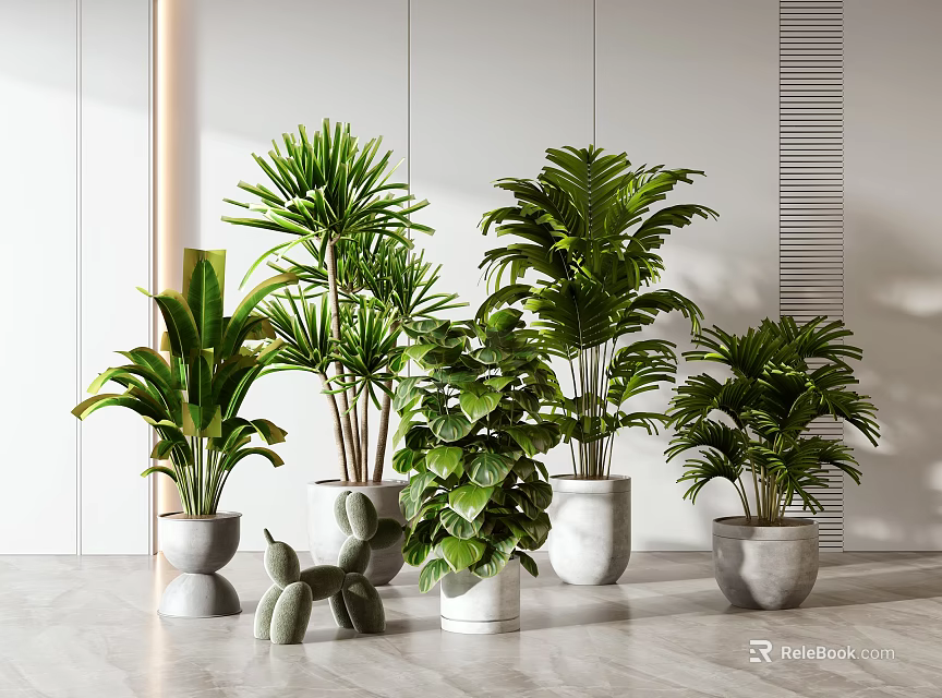 Modern Indoor Decorative Potted Plants With Different Green Leafy Varieties And Stylish Pots 3d model 