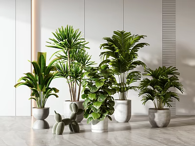 Modern Indoor Decorative Potted Plants With Different Green Leafy Varieties And Stylish Pots 3d model