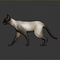 Siamese Cat With Cream And Dark Brown Fur Standing On A Grey Background With Reflection