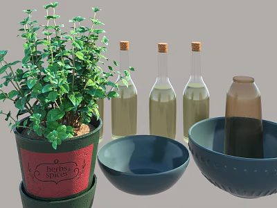 Bonsai Potted Plant with Fresh Green Leaves and Glass Bottles with Cork Stoppers and Bowls 3d model