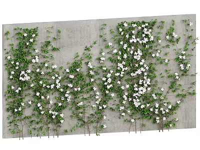 Climbing Vines With Green Leaves And White Flowers On Gray Wall 3d model