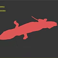 Brown Salamander With Long Body Large Eyes And Small Limbs On Black Background