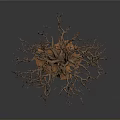 Isolated Leafless Tree With Thin Trunk And Exposed Roots On Dark Background