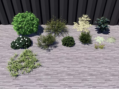 Different Varieties of Shrubs with Green Foliage and White Flowers on Wooden Deck 3d model