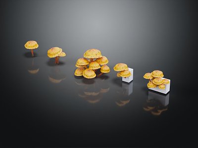 Modern Mushroom Straw Mushroom 3d model