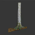 Wooden Tree Trunk with Roots on Stone Base Decorated with Fallen Leaves and Natural Texture
