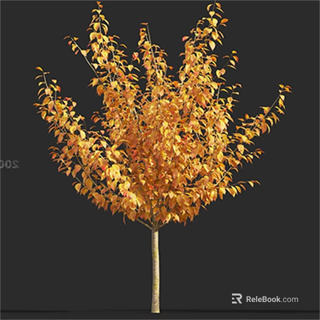 Autumn Arbor with Vibrant Orange Yellow Leaves and Lush Foliage 3d model 