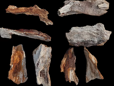 Natural Stone And Wood Pieces With Varied Textures And Natural Patterns 3d model