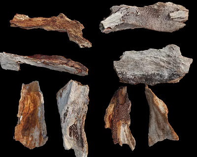 Natural Stone And Wood Pieces With Varied Textures And Natural Patterns 3d model