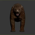 Realistic 3D Model of Brown Bear With Detailed Fur and Standing Pose
