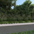 Natural Scenic Garden Landscape With Lush Trees Green Lawn White Low Wall And Tall Grasses