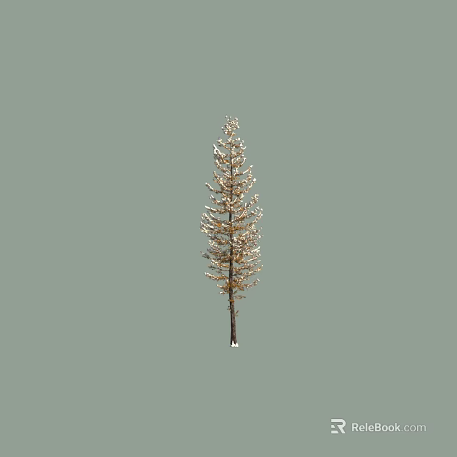 Tall Evergreen Arbor with Slender Trunk Dense Green Foliage in Natural Scene 3d model 