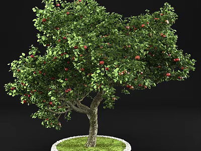 Lush Fruit Tree With Red Fruits Green Leaves Thick Trunk And Green Grass 3d model