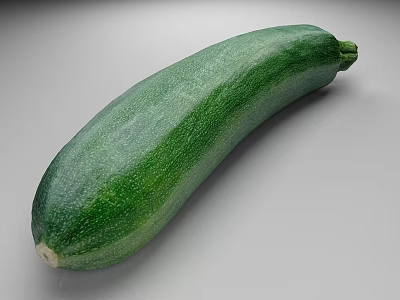 Fresh Long Green Zucchini Vegetable with Smooth Dark Green Ripe Organic Skin 3d model