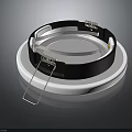 Modern Ring Shaped Lighting Fixture With Black White Band And Metal Clips