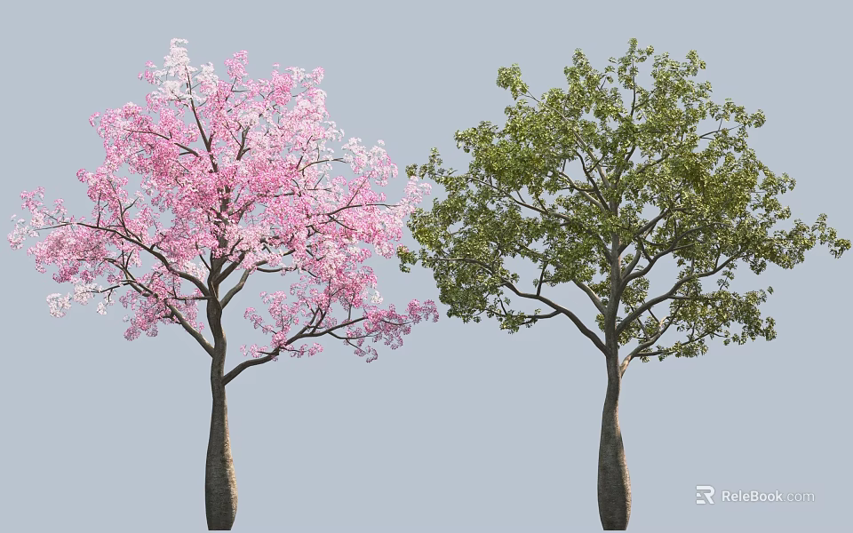 Two Beautiful Arbor Trees With Vibrant Pink Flowers And Lush Green Leaves 3d model 