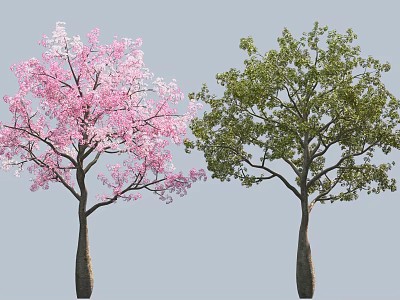 Two Beautiful Arbor Trees With Vibrant Pink Flowers And Lush Green Leaves 3d model