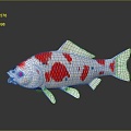 Modern Fish Cold Water Fish Koi Goldfish 3d model