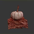 Fresh Small White Pumpkin Displayed On Dry Hay Bale With Gray Backdrop