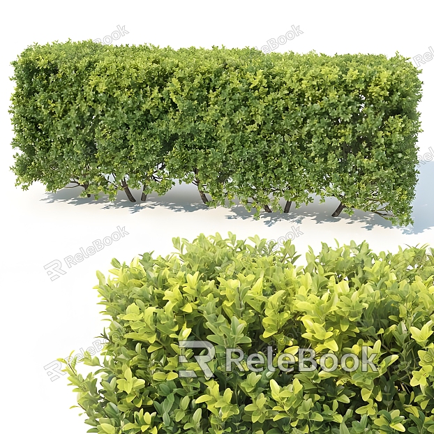 Bushes Grasses Blossoms Plants Greening Shrubs Landscape model