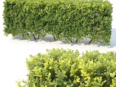 Lush Green Shrubs And Trimmed Hedge For Garden Landscape Decoration 3d model
