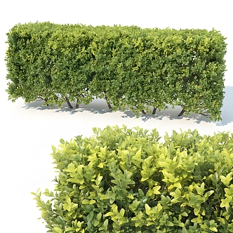 Bushes Grasses Blossoms Plants Greening Shrubs Landscape 3d model