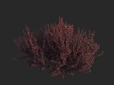 Realistic Dark Red Dense Shrub 3D Model For Garden Landscape Design 3d model