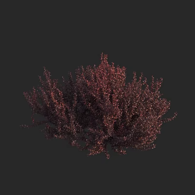 Realistic Dark Red Dense Shrub 3D Model For Garden Landscape Design 3d model