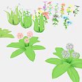 Colorful Garden Plants With Various Flowers In Pink Yellow Blue Purple And Green Leaves