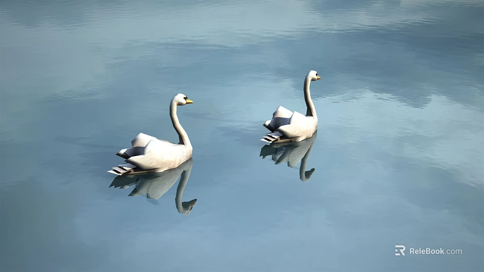 Two White Swans Swimming Gracefully On Calm Water Surface With Clear Reflections 3d model 