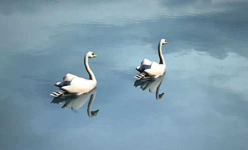 Modern Goose 3d model