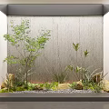 Green Plants in Indoor Scene with Rocks Pebbles and Wooden Wall Design