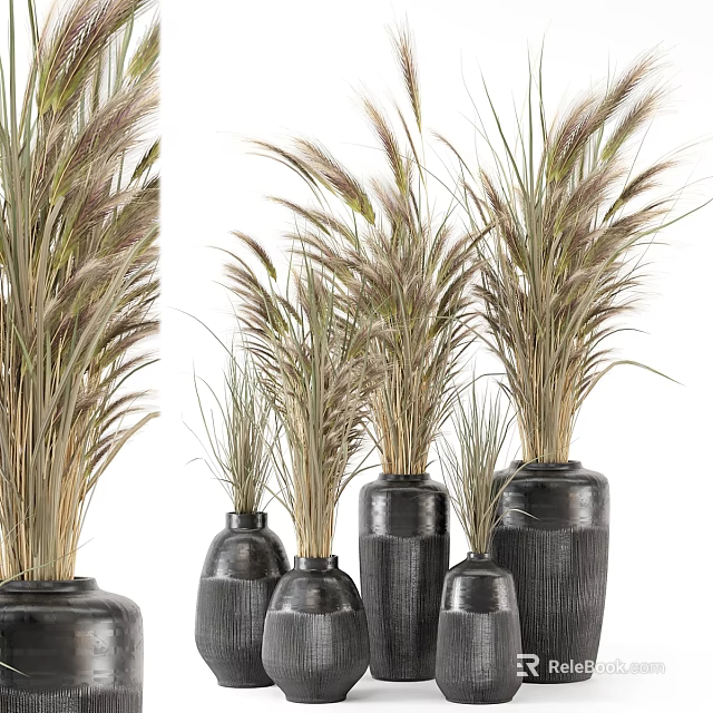 Modern Decorative Ornament Set with Various Sizes Black Vases and Dried Grasses 3d model 