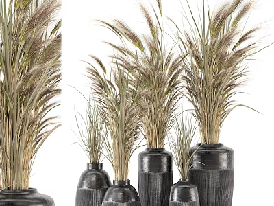 Modern Decorative Ornament Set with Various Sizes Black Vases and Dried Grasses 3d model