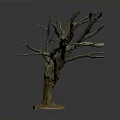 Bare Tree With Leafless Branches and Natural Soil Base Standing Against Dark Background