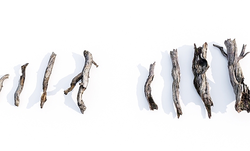 Modern Dead Wood Dead Branch Dead Tree 3d model