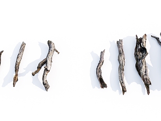 Modern Dead Wood Dead Branch Dead Tree 3d model