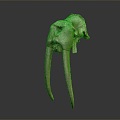 Modern Skull Animal Skull Elephant Skull Fossils 3d model