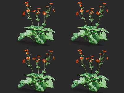 Vibrant Orange Flowers With Fresh Green Leaves For Garden Decoration 3d model